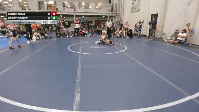 52 lbs Round 5 (6 Team) - Caiden Cruz, Brawler Elite vs Brody Bosley, Aggression Legionnaires