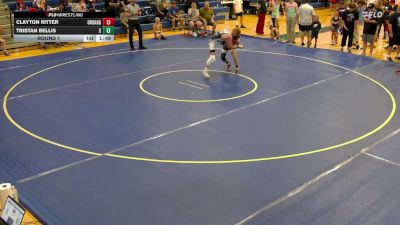 132 lbs Round 1 - Tristan Bellis, Red Jacket vs Clayton Ritter, Oneonta High School And Gorilla Grapplers