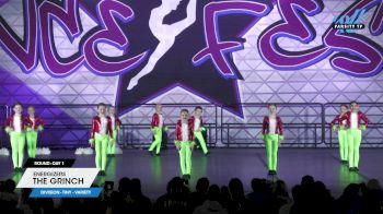 Energizers - The Grinch [2024 Tiny - Variety Day 1] 2024 DanceFest Grand Nationals