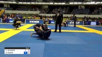 AARON JOHNSON vs DAVID GARMO 2018 World IBJJF Jiu-Jitsu No-Gi Championship
