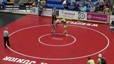 252 lbs Round Of 16 - Dominick Lentini, Mount Carmel vs Andrew Gabriel, Gateway