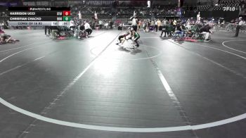 55 lbs Consi Of 16 #2 - Harrison Ucci, Stafford vs Christian Chacko, Ridge