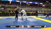 Stephen Vincent Hall vs Michael Zenga 2025 Pan Jiu Jitsu IBJJF Championship