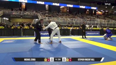 Stephen Vincent Hall vs Michael Zenga 2025 Pan Jiu Jitsu IBJJF Championship
