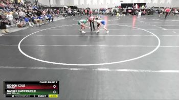 157 lbs Champ. Round 2 - Gideon Cole, Amherst vs Nasser Hammouche, Lane Tech (IL)