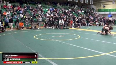 215 lbs Quarterfinal - Cliff Nicholson, MEDINA vs Aidan Weimer, SPRINGBORO