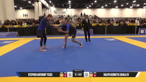 Ralph Kenneth Zavala IV vs Stephen Anthony Tecci 2025 World IBJJF Jiu-Jitsu No-Gi Championship