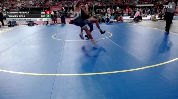 5A 165 lbs Champ. Round 1 - Lorenzo Pedraza, Skyview vs Damien Avila, Blackfoot