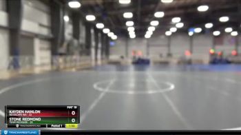 96 lbs Round 1 - Stone Redmond, Team Michigan vs Kayden Hanlon, No Escape WA