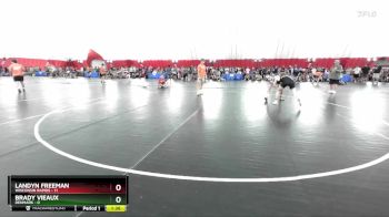 120 lbs Round 3 (6 Team) - Brady Vieaux, Denmark vs Landyn Freeman, Wisconsin Rapids