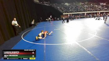 67 lbs Champ. Round 2 - Beau Brandow, Iowa vs Landon Roberts, Big Game Wrestling Club