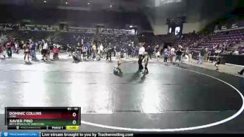 43 lbs Round 3 - Xavier Pino, Betterman Elite Wrestling vs Dominic Collins, Utah