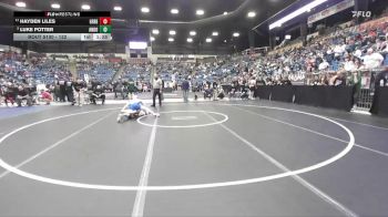132 lbs Quarterfinal - Luke Potter, Andover vs Hayden Liles, Great Bend
