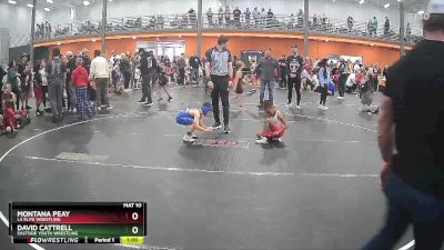 75 lbs Quarterfinal - David Cattrell, Eastside Youth Wrestling vs Montana Peay, LA Elite Wrestling