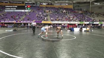 125 lbs Placement Matches (16 Team) - Candio Deluna, Tiffin vs Christian Olsen, Augustana (SD)
