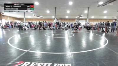 68 lbs Quarterfinal - Estelle Losiewicz, Coal Township vs Sophia Rosics, Johnson City