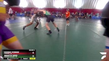 202-206 lbs Round 2 - Brekkyn Weed, Coleman Cougars vs Dominic McBride, Cameron