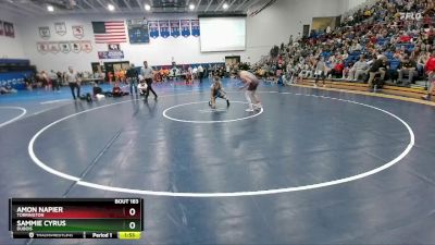 106 lbs Quarterfinal - Sammie Cyrus, Dubois vs Amon Napier, Torrington