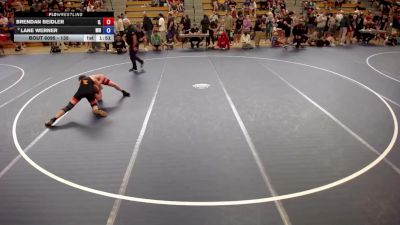 135 lbs Quarters - Brendan Beidler, IL vs Lane Werner, MN
