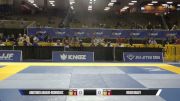 Reiss Bailey vs Aristides Araujo-Rodriguez 2026 Pan Jiu Jitsu IBJJF Championship