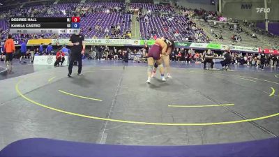 207 lbs Placement (4 Team) - Desiree Hall, William Jewell College vs Kamila Castro, Gannon University