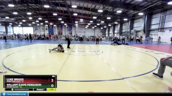 60 lbs Rd# 5- 3:45pm Friday Final Pool - Luke Briggs, Maryland GOLD vs William (Liam) Ferguson, Minion Black