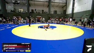 157 lbs Cons. Round 3 - Aydan Ducharme, CA vs Wyatt Harper, WA