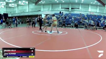 138 lbs Quarterfinal - Braden Kelly, IL vs Cole Dummer, WI