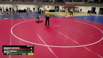 170 lbs Champ. Round 2 - Brady Westall, New Prague vs Braeden Erickson, Willmar