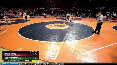 2A 113 lbs Cons. Round 1 - Avery Jamie, Bethalto (Civic Memorial) vs Jake Lowitzki, Crystal Lake (Prairie Ridge)