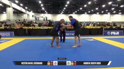 Andrew Joseph Soss vs Nestor Rafael Escribano 2025 World IBJJF Jiu-Jitsu No-Gi Championship