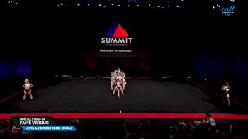 FAME All Stars - PA - Fame Vicious [2025 L4.2 Senior Coed - Small Prelims] 2025 The Summit