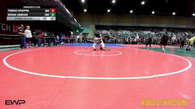 195 lbs Consi Of 8 #1 - Tobias Chappel, Union vs Ethan Linehan, Porterhouse