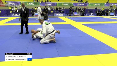 ADRIEN ROBERTO DOMINGUES vs AROLDO TERUHIKO KOBAYASHI 2024 Brasileiro Jiu-Jitsu IBJJF