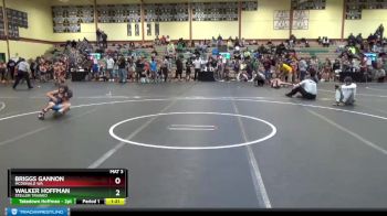 68 lbs Semifinal - Walker Hoffman, Steller Trained vs Briggs Gannon, McDonald WA