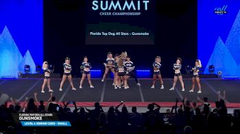 Florida Top Dog All Stars - Gunsmoke [2025 L4 Senior Coed - Small Finals] 2025 The Summit