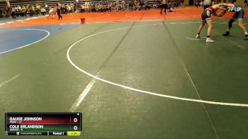 125 lbs Semis & 1st Wrestleback (8 Team) - Gauge Johnson, Pierz vs Cole Erlandson, Adrian