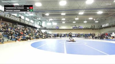 133 lbs Quarterfinal - Anthony Sagaris, Lake Erie vs Christopher Ferraro, Thomas More