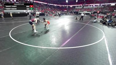 132 lbs Champ. Rd Of 16 - Bailey Casey, Menomonie vs Perry Baehr, Kaukauna