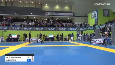 MICHAL SCHWEINEKER vs JOHN FAKINOS 2019 European Jiu-Jitsu IBJJF ...