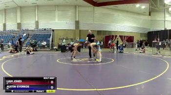 144 lbs Semifinal - Liam Jones, IL vs Austin Gyorkos, MI