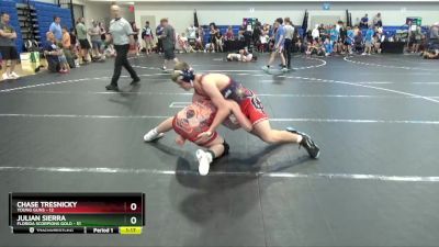 140 lbs Round 2 (8 Team) - Chase Tresnicky, Young Guns vs Julian Sierra, Florida Scorpions Gold