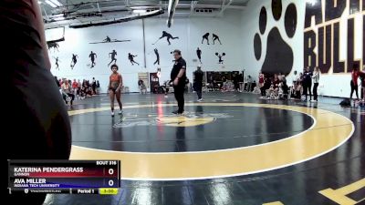 110 lbs Cons. Round 3 - Katerina Pendergrass, Gannon vs Ava Miller, Indiana Tech University