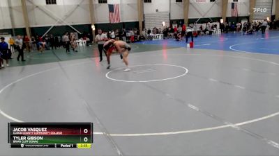 165 lbs Cons. Round 2 - Jacob Vasquez, Cloud County Community College vs Tyler Gibson, Briar Cliff (Iowa)