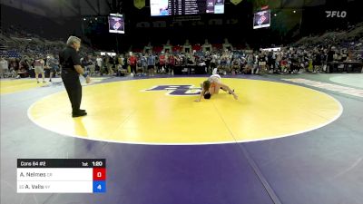 113 lbs Cons 64 #2 - Aiden Nelmes, OR vs Anthony Valls, NY