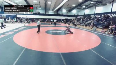 133 lbs Champ. Round 1 - Steven Harris, Alvernia vs Vincent Paolucci, York