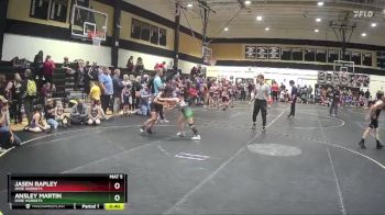 80 lbs Round 1 - Jasen Rapley, Dixie Hornets vs Ansley Martin, Dixie Hornets