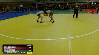 125 lbs Champ. Round 1 - Shane Kramer, Hutchinson vs Bryce Gerdes, Z-M (Zumbrota/Mazeppa)