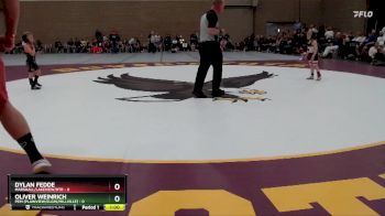 45 lbs Round 3 (3 Team) - Dylan Fedde, Marshall/Lakeview/RTR vs Oliver Weinrich, PEM (Plainview/Elgin/Millville)