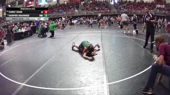 113 lbs Quarterfinal - Harper Keairnes, Warrior Wrestling Academy vs Carly Sass, Arlington Eagles